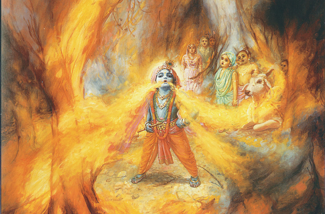 ಕೃಷ್ಣ ಕಾಳ್ಗಿಚ್ಚು ನುಂಗಿದ್ದು